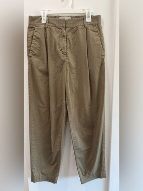 Everlane Pleated Trousers